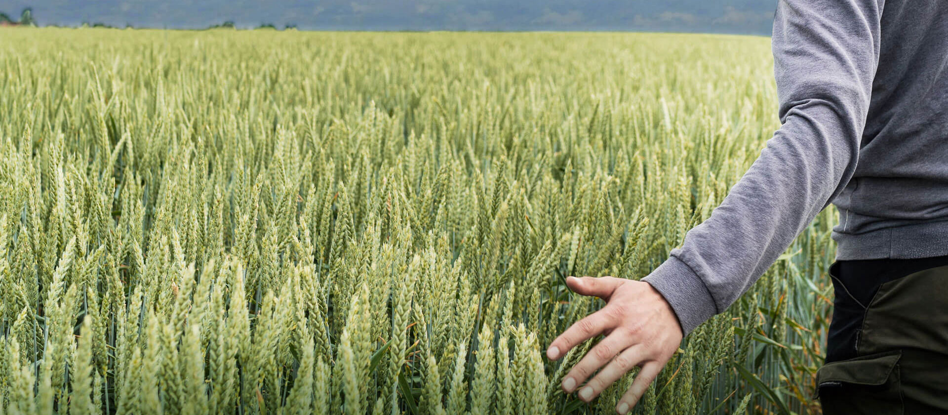 A hand sweeping over the field.