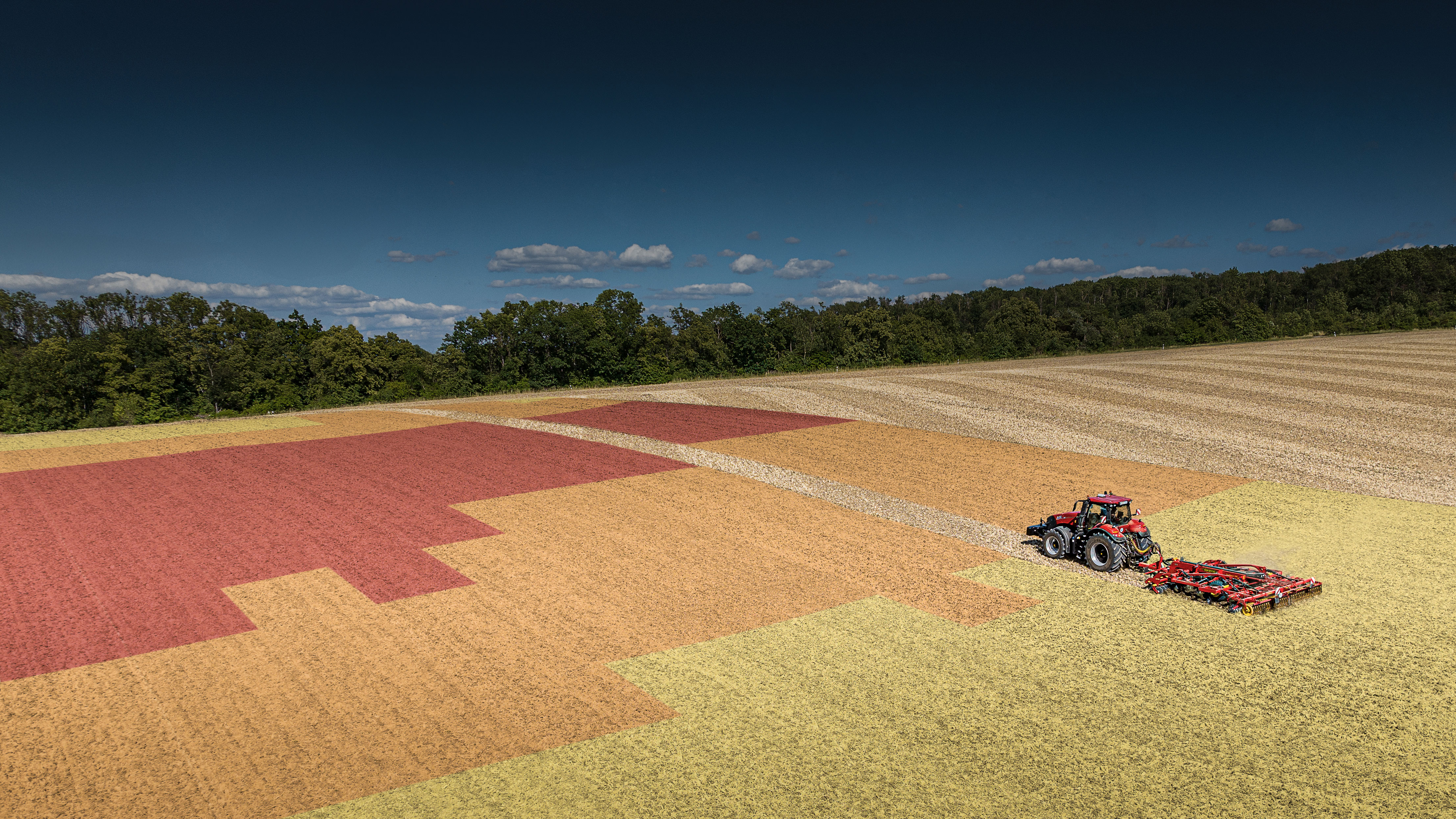 A field in different colors.