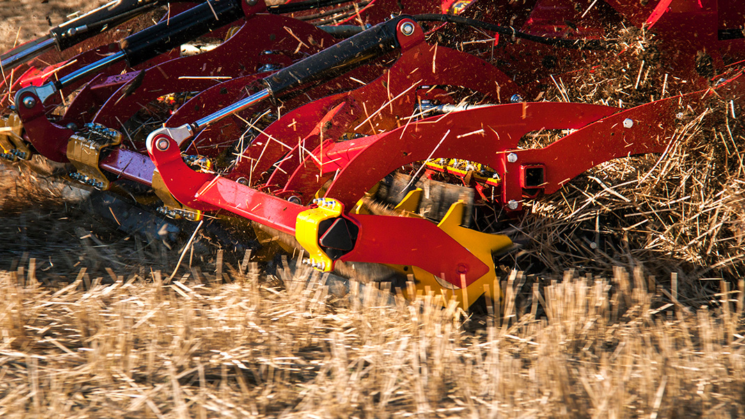 Intensive chopping and pest prevention with CrossCutter Knife