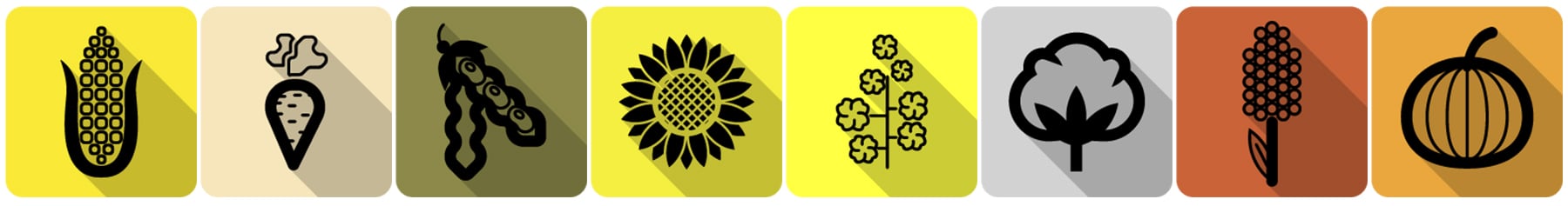 Väderstad Tempo one machine multiple crops