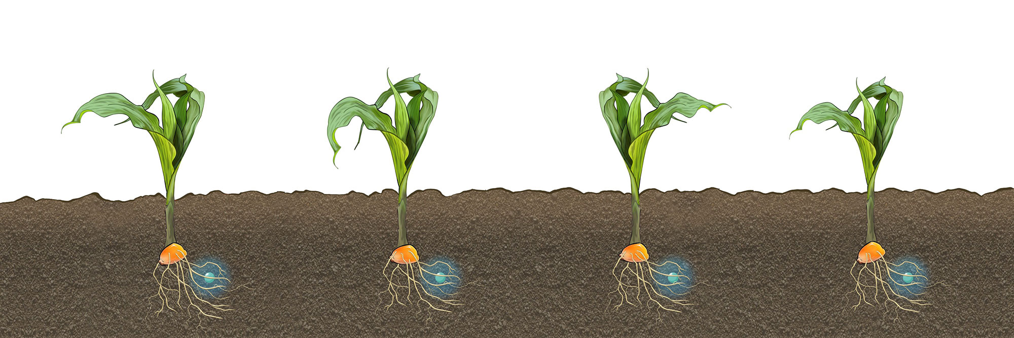 Väderstad Tempo the result of precision