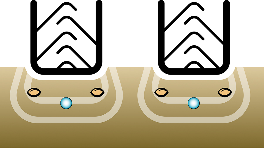 Rapid offers effective reconsolidation