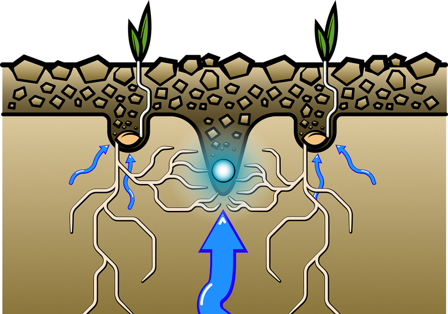 Väderstad Seed Drills Rapid with combi secures success illustration with fertliser
