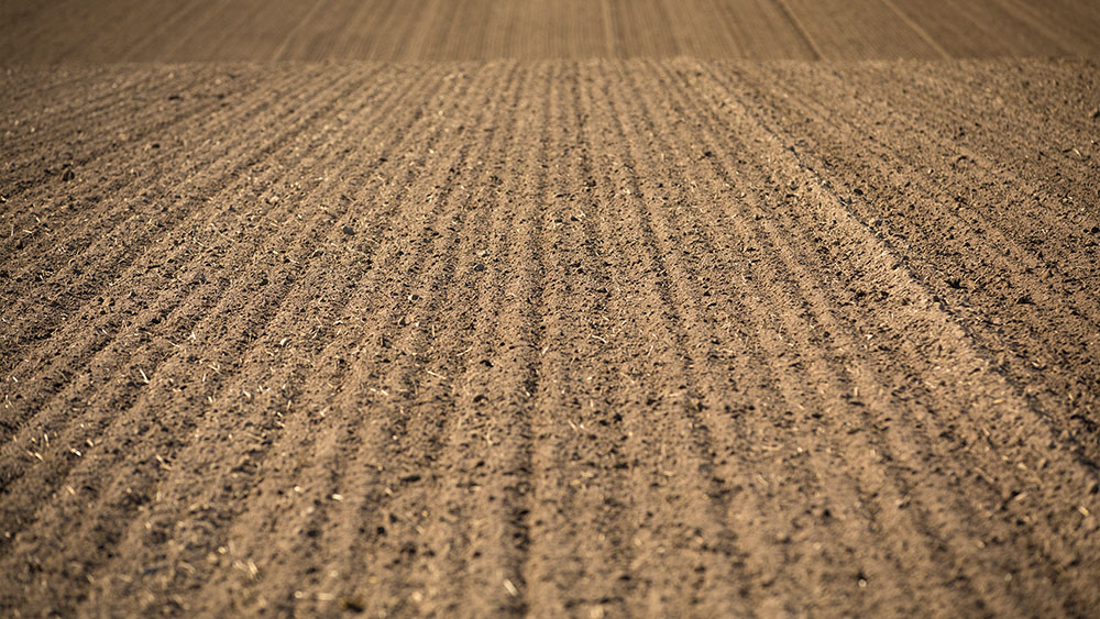 Photo of field with bare soil