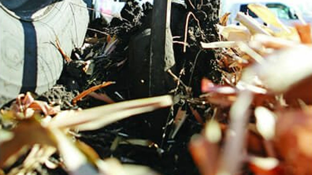 Wil-RIch 657 DCR shovels