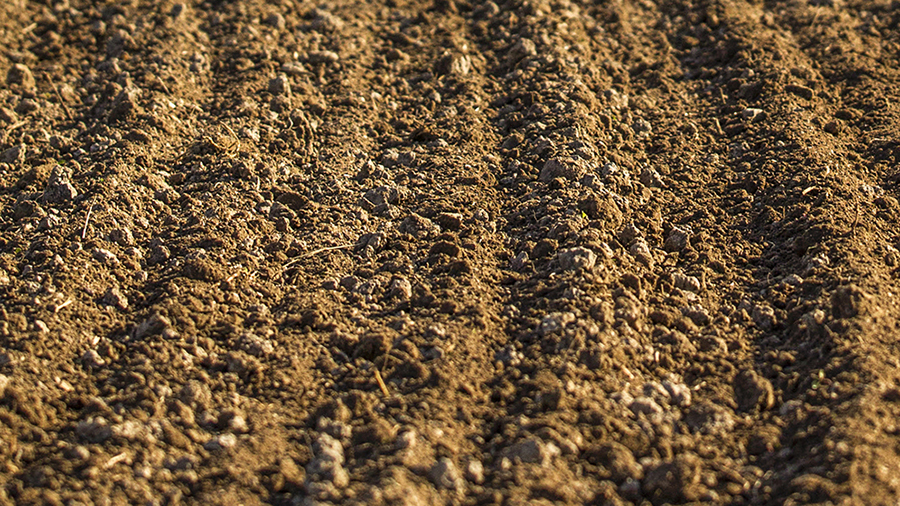 Väderstad tine harrows