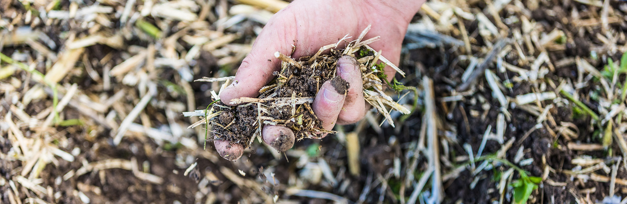 Moisture and structure conservation – When less is more