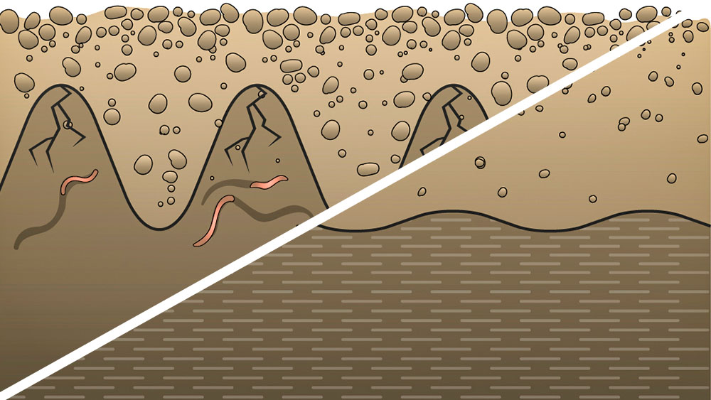Rendering of different kinds of soil