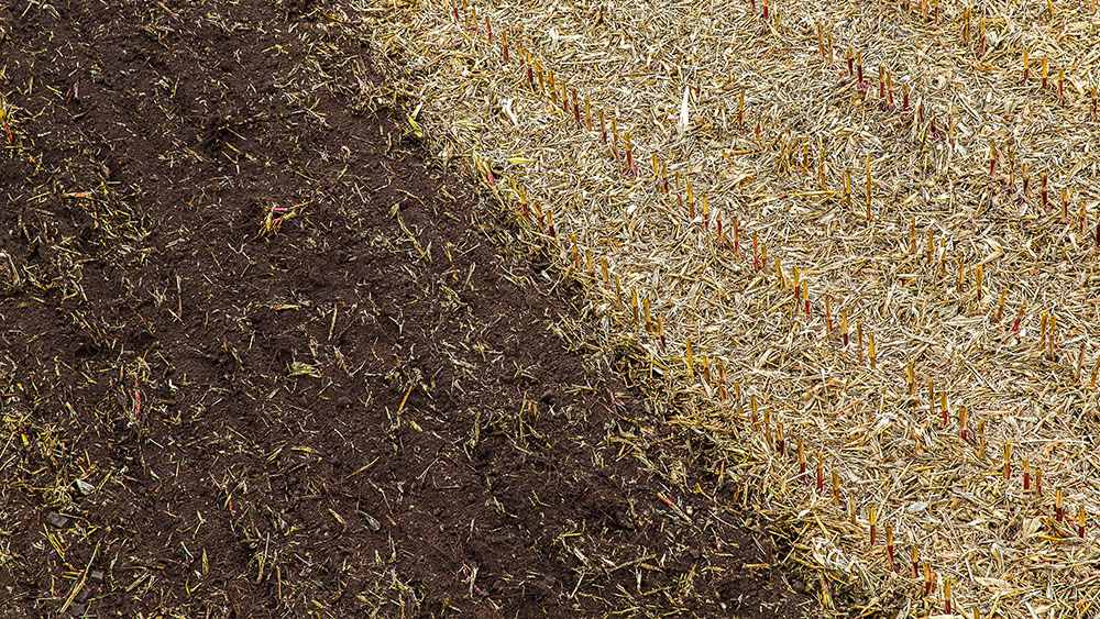 Résidus dans un champ