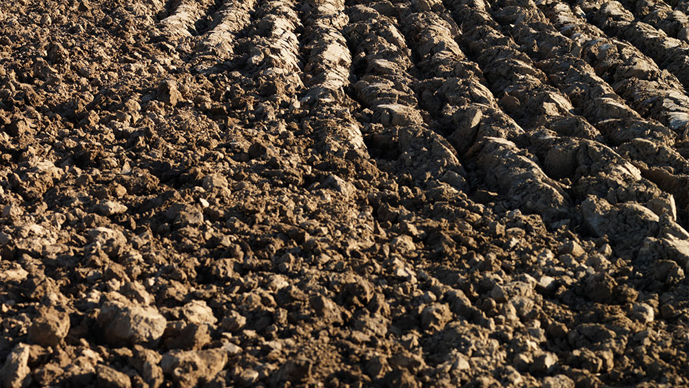 Terre reconsolidée dans un champ