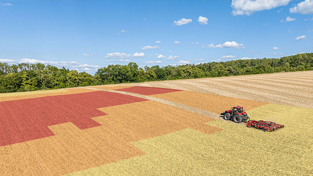 Champ segmenté en plusieurs sections colorées