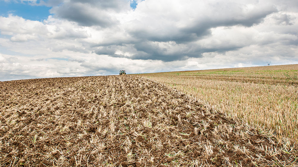 Champ partiellement labouré