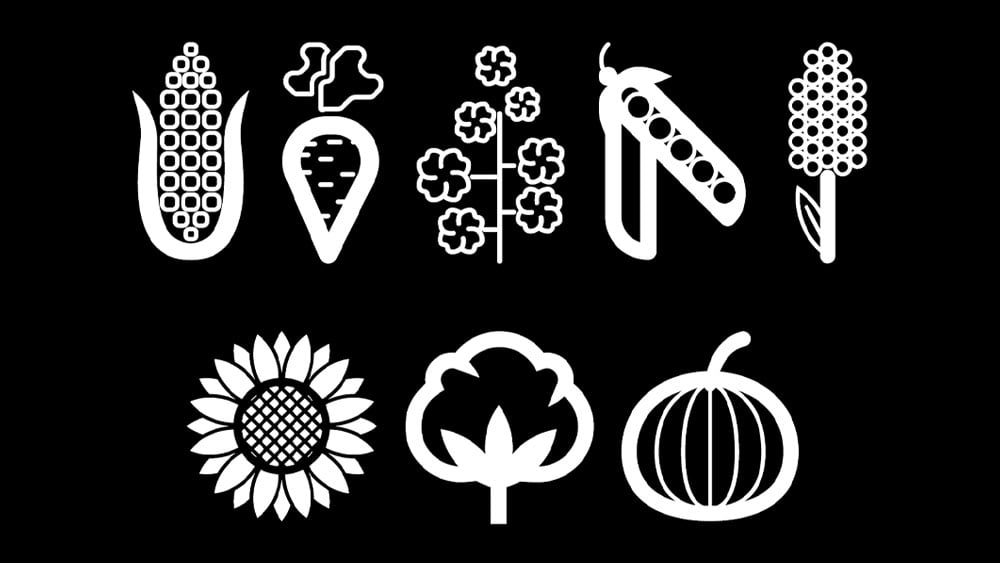 Illustration of different crops