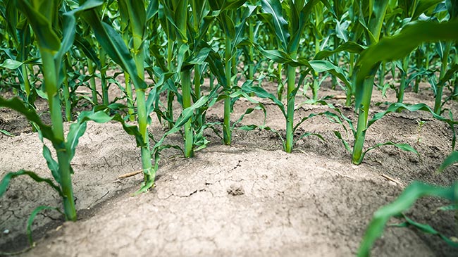 End-of-row precision