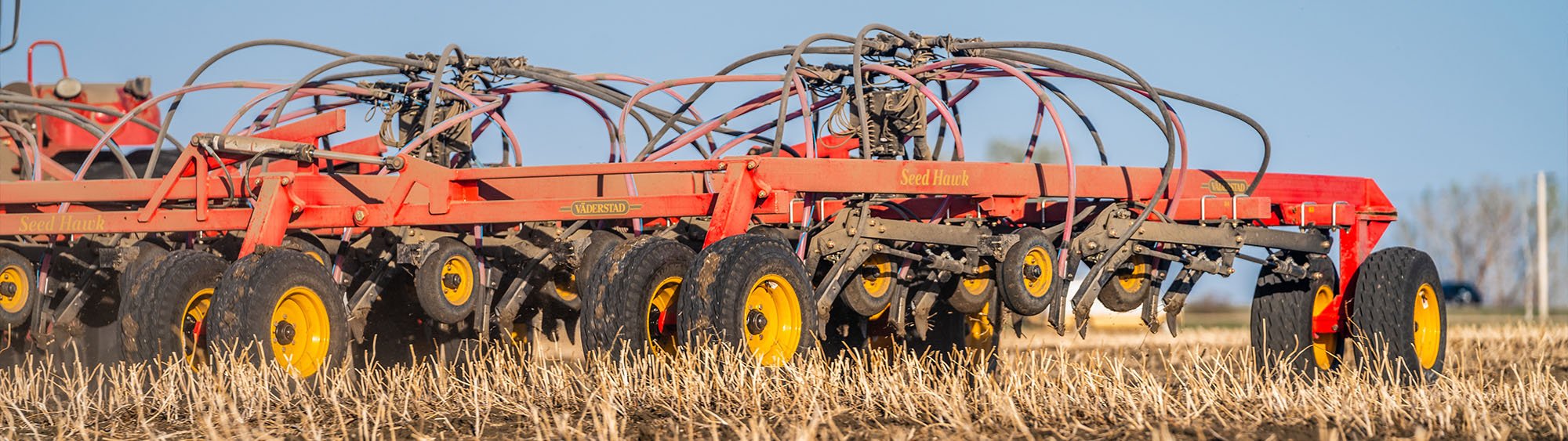 Detail photo of the Seed Hawk, from the side