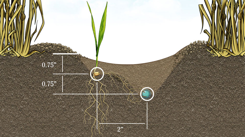 Rendering showcasing placement of seed and fertilizer using the Seed Hawk Inline Side Band knife