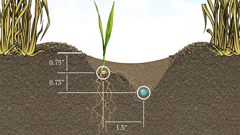 Rendering showcasing placement of seed and fertiliser using the Seed Hawk Single Side Band knife