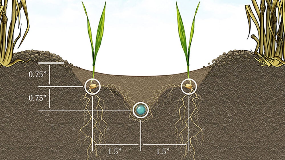 Rendering showcasing placement of seed and fertiliser using the Seed Hawk Twin Wing knife