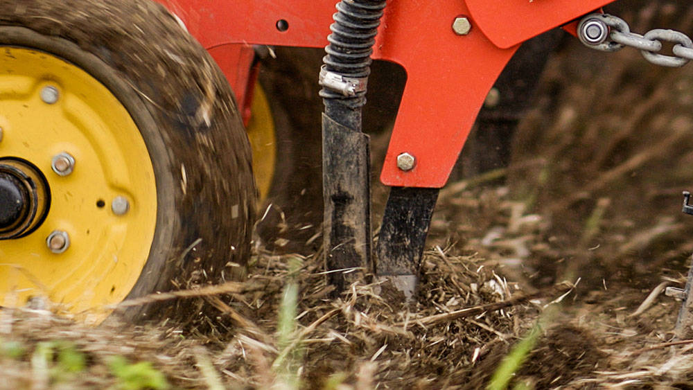 Close-up of the Seed Hawk seed knife.