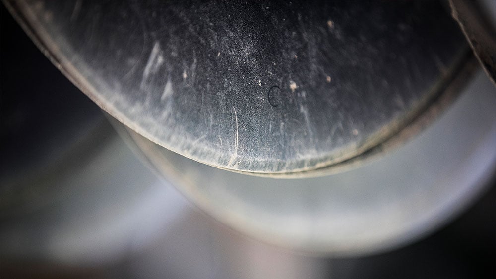 Close-up of seed disc