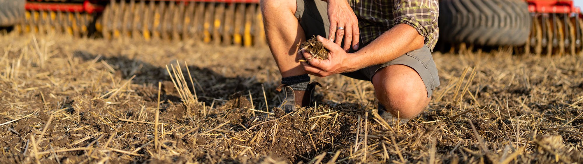 Mano en el suelo, examinando la incorporación de residuos.