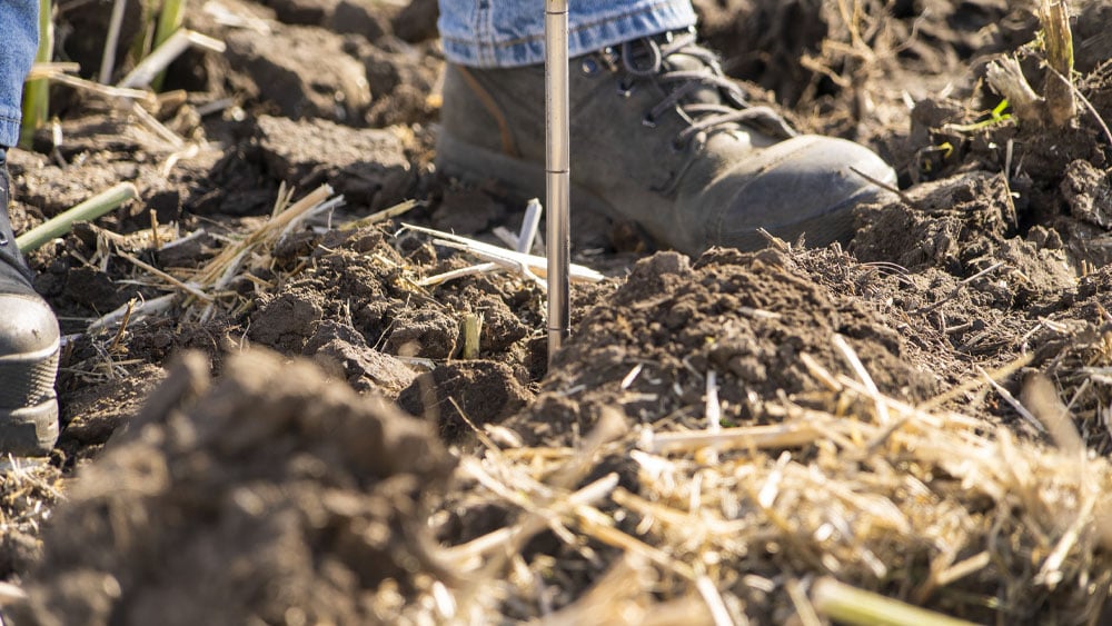 Close-up on finely tilled soil